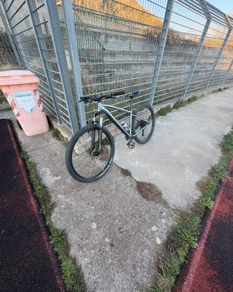 Bicicletta mountain bike