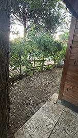 Vendita casetta in legno