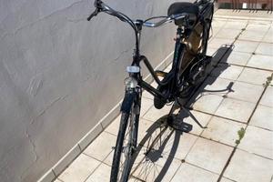 Mosquito BICI A MOTORE