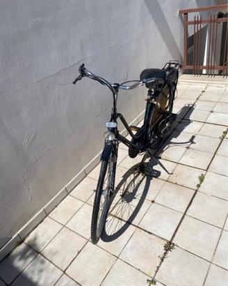 Mosquito BICI A MOTORE