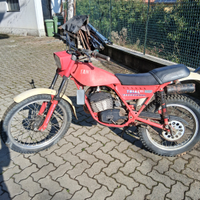 FANTIC trial 125