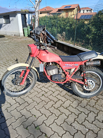 FANTIC trial 125