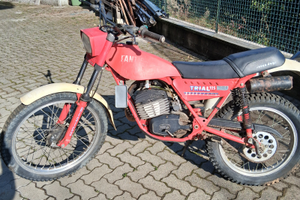 FANTIC trial 125