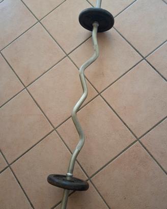 Bilanciere con due dischi da 5 kg e ferma  dischi