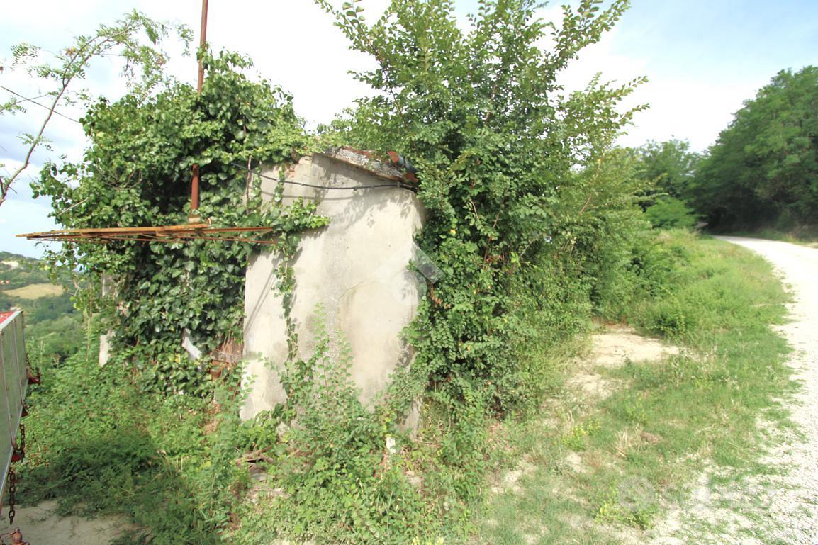 RUSTICO A CESENA - Altro