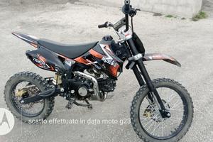pit bike 125 kxd
