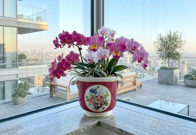 CACHEPOT Richard Ginori DOCCIA Porcelain Italy '50