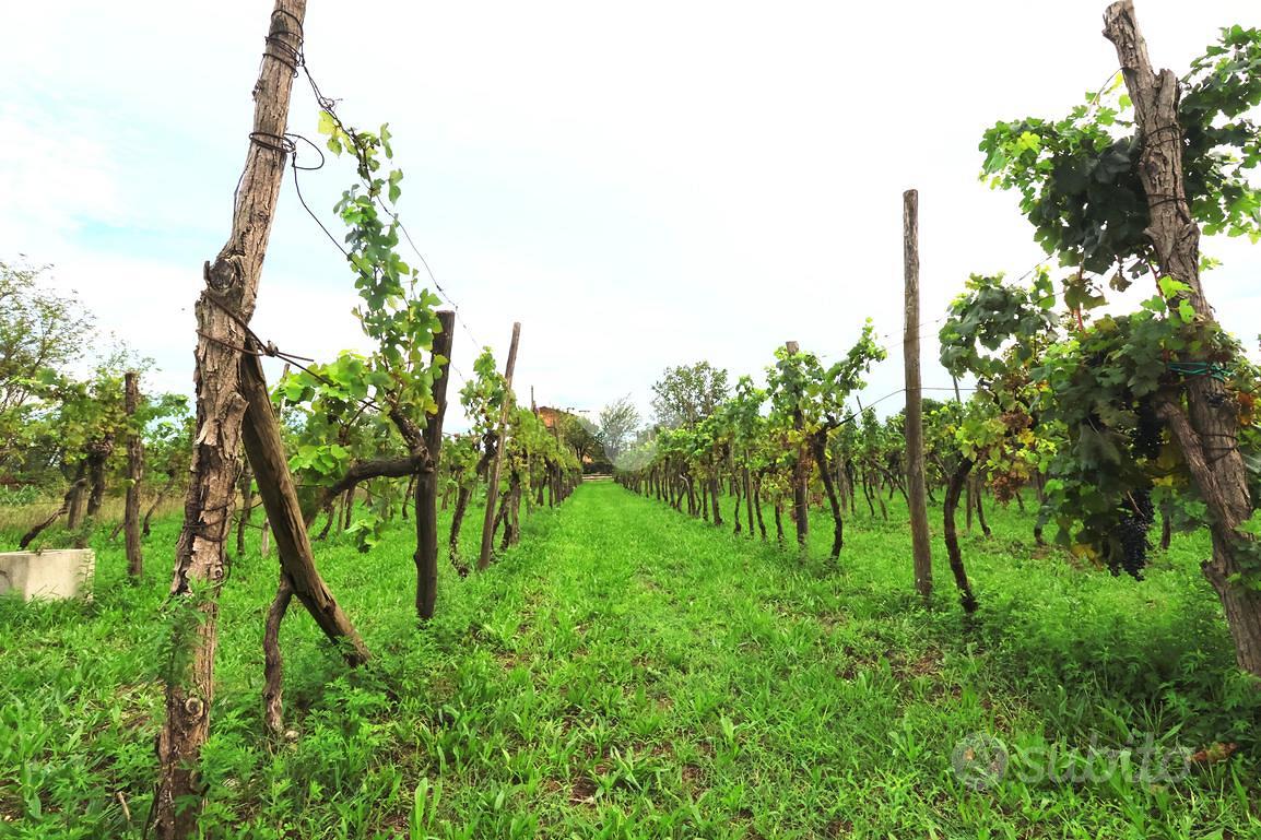 TER. RESIDENZIALE A REMANZACCO - Altro