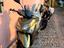 Immagine 6