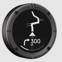 Navigatore BEELINE MOTO II Triumph