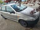 fiat-punto-75-cat-5-porte-hsd