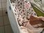 Immagine 2