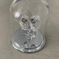 Coppia guffetti con gabbia swarovski