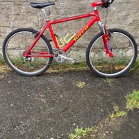 MTB muscolare Turro