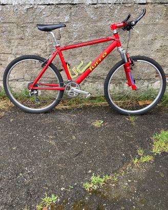 MTB muscolare Turro