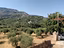 Immagine 16