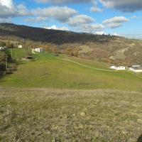 Vendo azienda agricola con capannoni