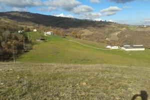 Vendo azienda agricola con capannoni