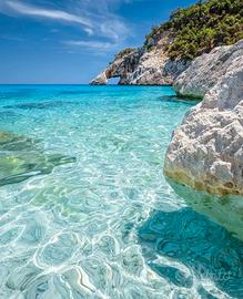SARDEGNA Golfo Orosei mare+bello mondo Girasole OG