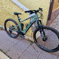 ebike focus 