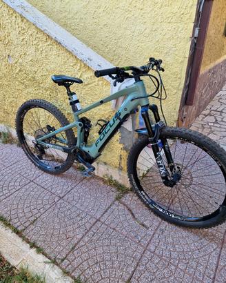 ebike focus 