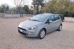 Fiat Punto 1.2 8V porte Dynamic
