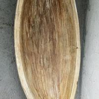 Vasi porta piante e piante fico d'india