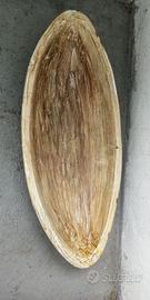 Vasi porta piante e piante fico d'india