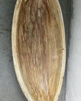 Vasi porta piante e piante fico d'india