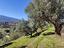 Immagine 19