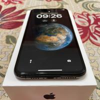 IPHONE XS MAX 256GB