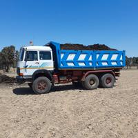 Camion 330.35