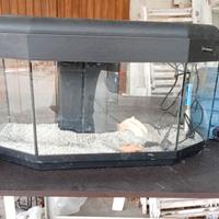 acquario completo 