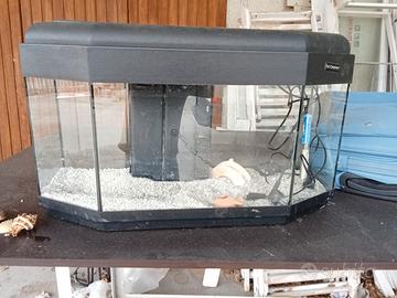 acquario completo 