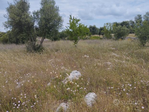 Terreno agricolo