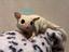 Immagine 2