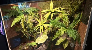 Terrario 110x60x100