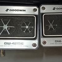 casse goodwin GW 4215e
