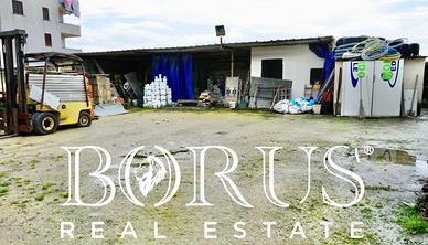 Terreno Agricolo - Giugliano in Campania