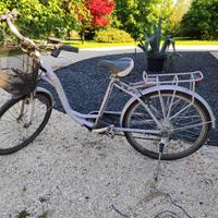 Bicicletta elettrica 