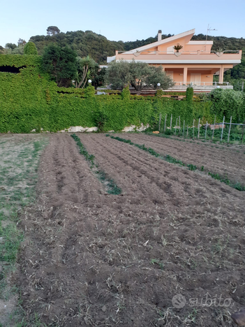 Terreno agricolo con acqua e strada per accesso