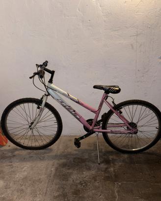 Adrenalina e Avventura: Mountain Bike Moderna