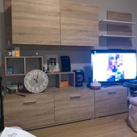 Parete attrezzata per televisore (soggiorno)