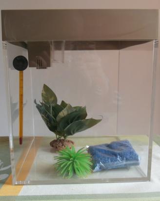 acquario