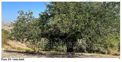 Terreno Agricolo Sommatino [A4325739]