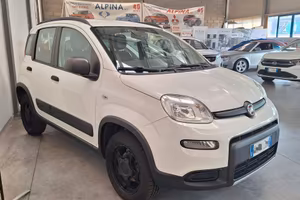 Fiat Panda Benzina 4X4 Wild
