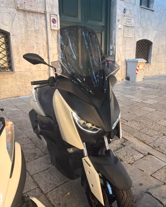 Xmax 300