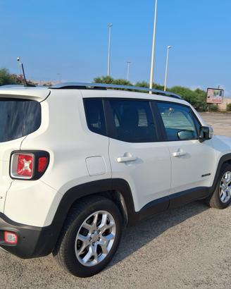 Jeep renegate 1600