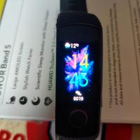 Smartband Honor  Band 5 in condizioni accettabili 