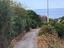 Immagine 22